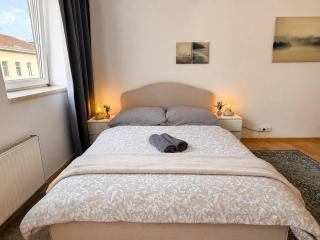 Sunny 3-room flat for 8 near U1 Vorgartenstraße - 3