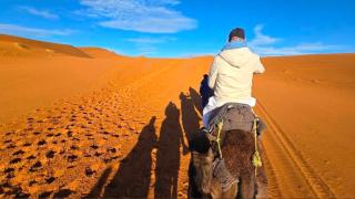 Desert Luxury Camp - 6