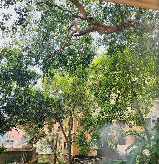 Spacious 1BHK Amid Greenery, Near IIT & Station - 5