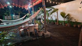 Cocos Hostel - 1
