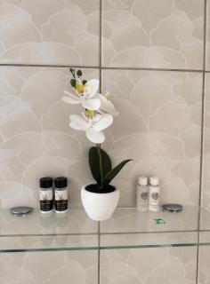 Apartament Central Pietonalul Unirii - 4