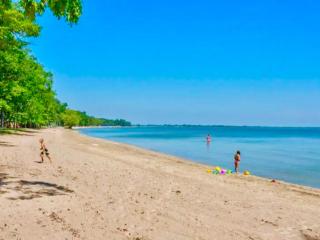 Cozy Home Lake Huron II - 1