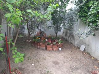 ANNEMOTIA - 2 storey House with Garden in Ayvalık Greek Neighborhood - 5