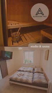 Studio v Aldrovském Triu - 0