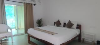 Agonda plefton guest house - 4