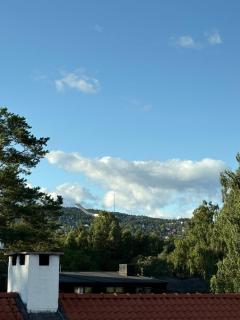 Scandinavian Villa in Oslo-West - 7
