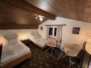 WEF and Ski Apartment - 1