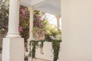 Maison aux Oliviers - 3