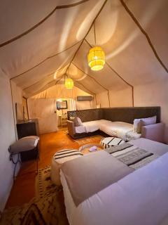 Fancy Golden Luxury Camp - 6