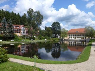 Parkhotel Bad Brambach - Bad Brambach - 6