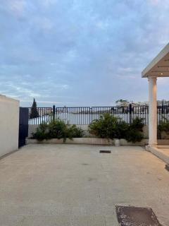 نخلة الهدا - 6