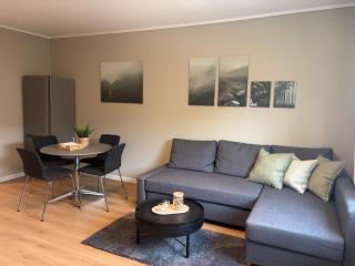 Cozy apartment near Stavanger city center - 0