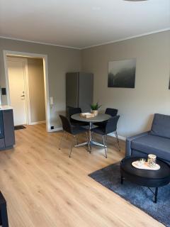 Cozy apartment near Stavanger city center - 6