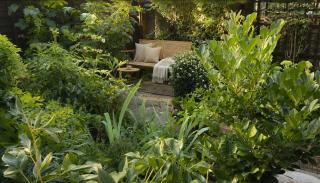 The Garden House by Maple & Moss - 6