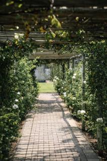 StayWell Gardens-Farm Stay Near Gaborone - 6