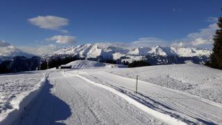 Hütte 23 - 3