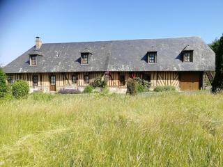 Colombages et verdure - 7
