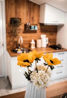 Apartman Emili Kotor-Ljesevici - 5