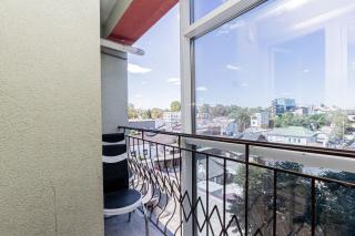 Lev Tolstoy 43B-15 Residence - 7
