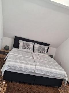 Nicholas Apartment-Thuringer Wald - 1