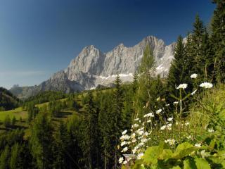 Dachstein Grand Alpine Lodge - 3
