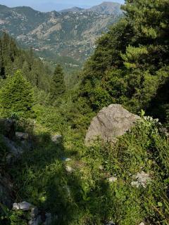 Cedar Crest Dunga Gali - 2