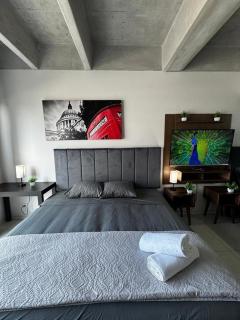 Premium suite Santa Lucia alberca, gym, kids club, parking 308 - 6
