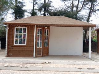 MANGROVE BEACH - 8