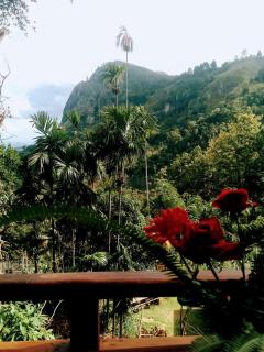 Blue Mountain Cabana - 7