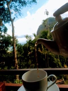 Blue Mountain Cabana - 9