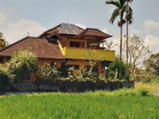 Paradise - 3 bedrooms - 0