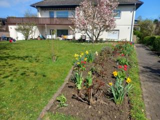 Wohnung an der Rosen - 1