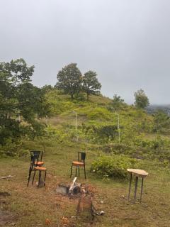 The Highland Nest - 1