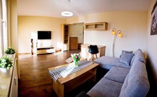 Apartament Fryderyk Premium 2 - Nysa - 5