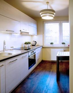 Apartament Fryderyk Premium 2 - Nysa - 2