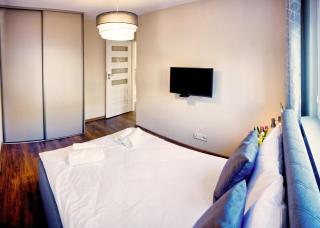 Apartament Fryderyk Premium 2 - Nysa - 1