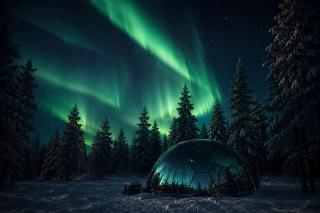 SKOG Aurora Glass Igloos - 5