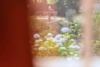 Jeju Sorak Stay - 3