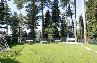 Pine Villa Ayubia - 6
