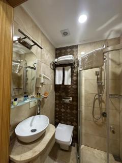 Ethnica City Hotel - 9