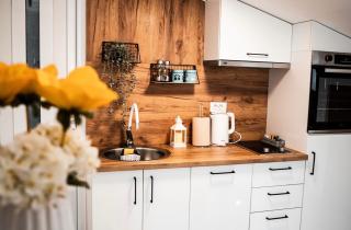 Apartman Emili Kotor-Ljesevici - 4