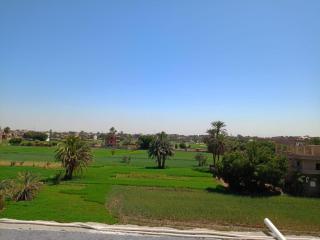 Apartament Luxor - 1