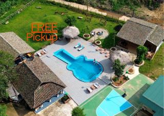 Loop Tribe Hostel - 0