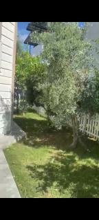 Villa Olive - 9
