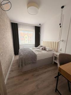 Apartament 15 - 2