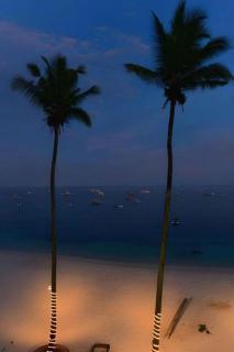 Blue Ocean Bohol Beachfront - 5