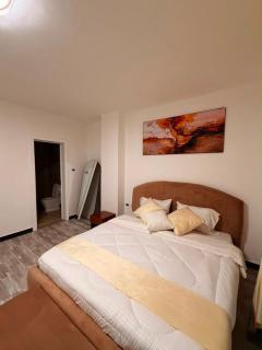 Luxury Bole Apartment Minutes from Airport - 8
