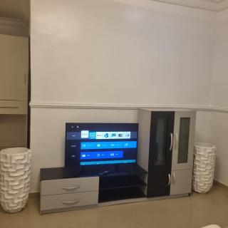 Tushy luxury apartments - 2