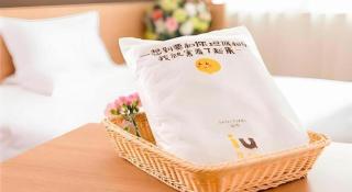 IU Hotel Anyang West Railway Station Yinxu Scenic Spot - Anyang - 3