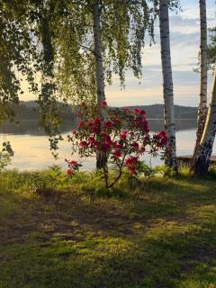 Hindås Lakeside Cabins - 2